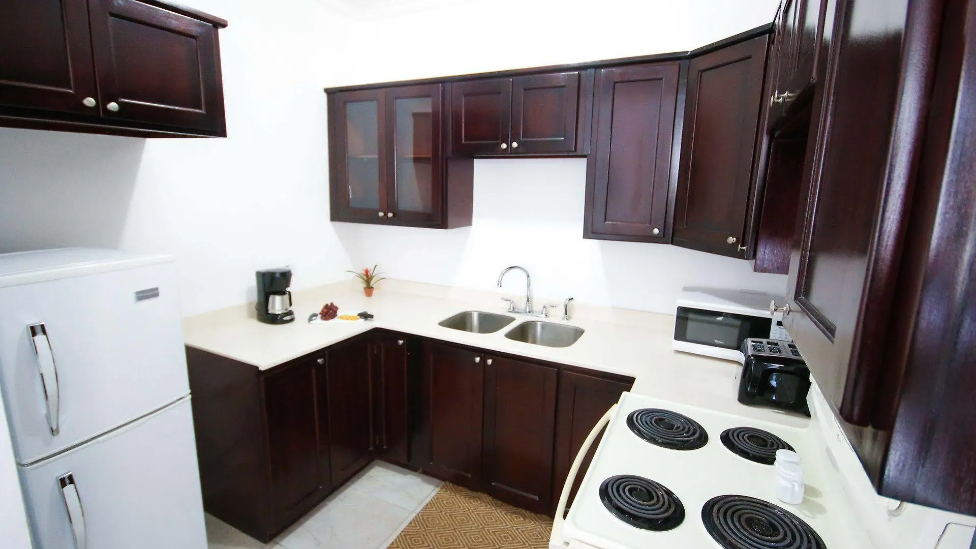 Cattleya'S New Kingston Guest Apartment