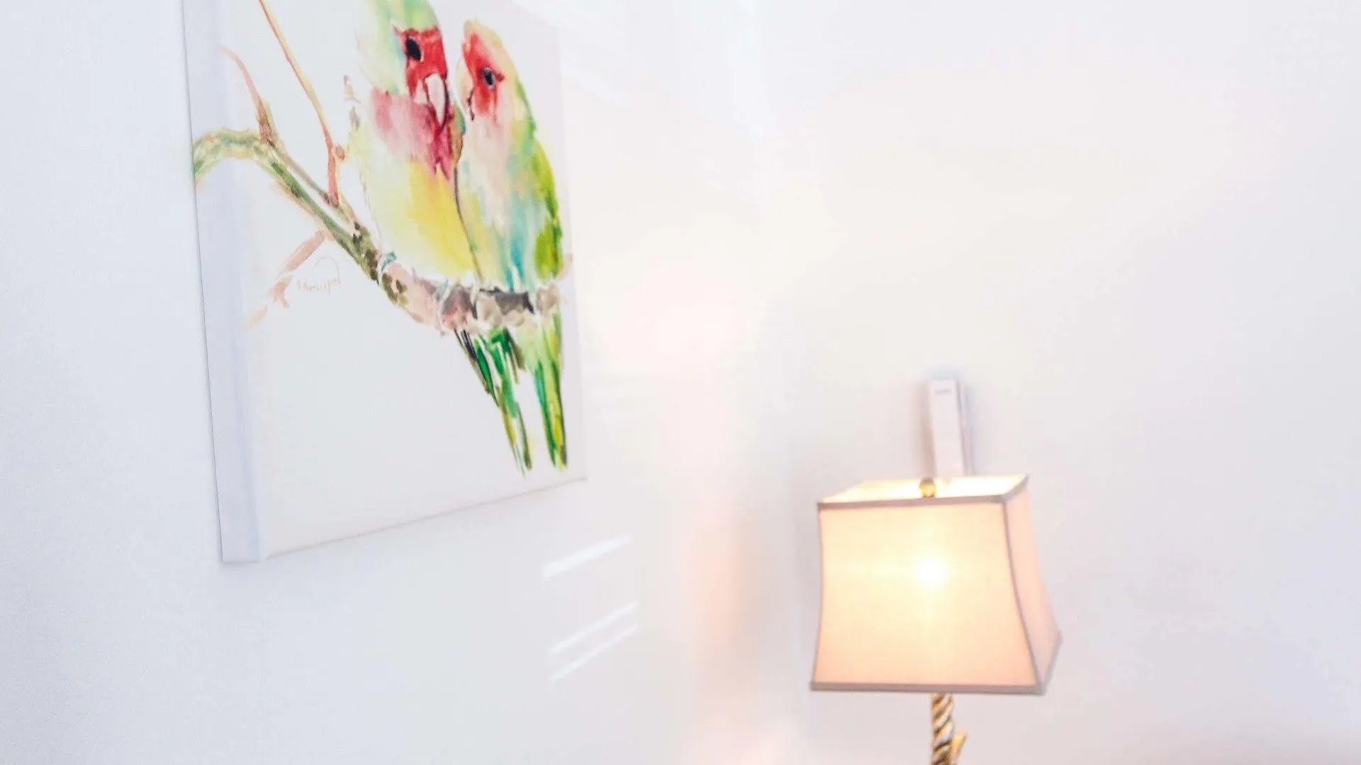 Cattleya'S New Kingston Guest Apartment